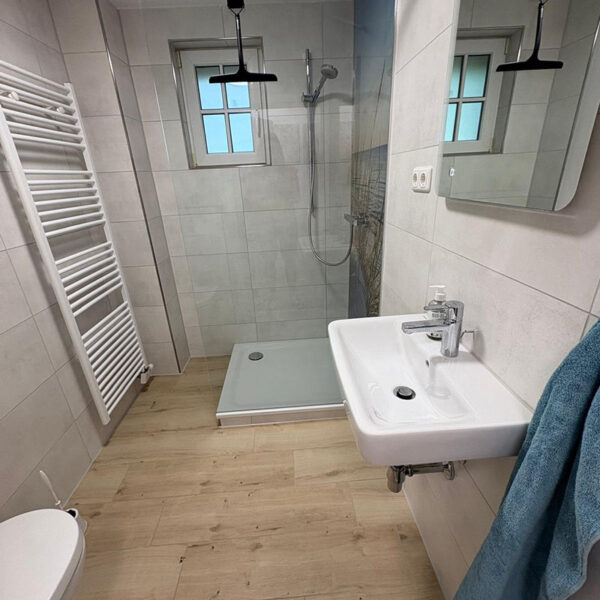 Badezimmer mit Dusche und Toilette im Ferienhaus in Helserdeich bei Friedrichskoog
