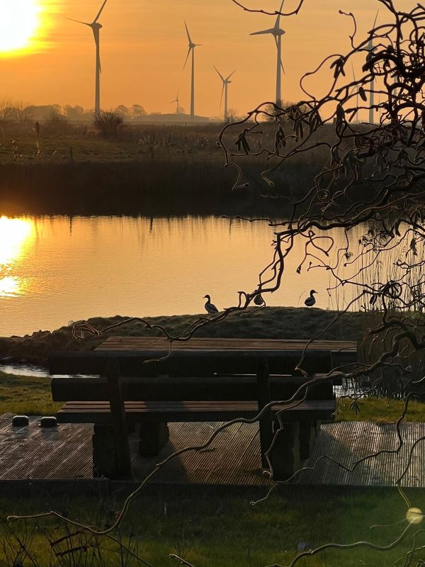 Ferienhaus in Helserdeich bei Friedrichskoog – Garten mit Sitzmöglichkeit und Blick aufs Wasser