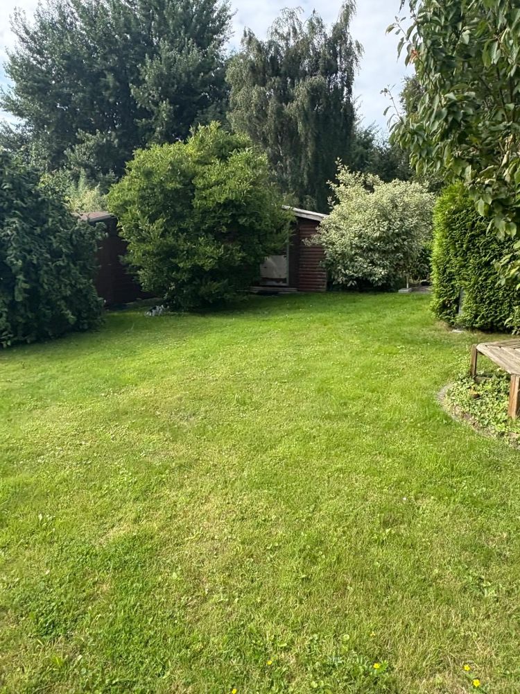 Ferienhaus in Helserdeich bei Friedrichskoog – Garten und Grünfläche